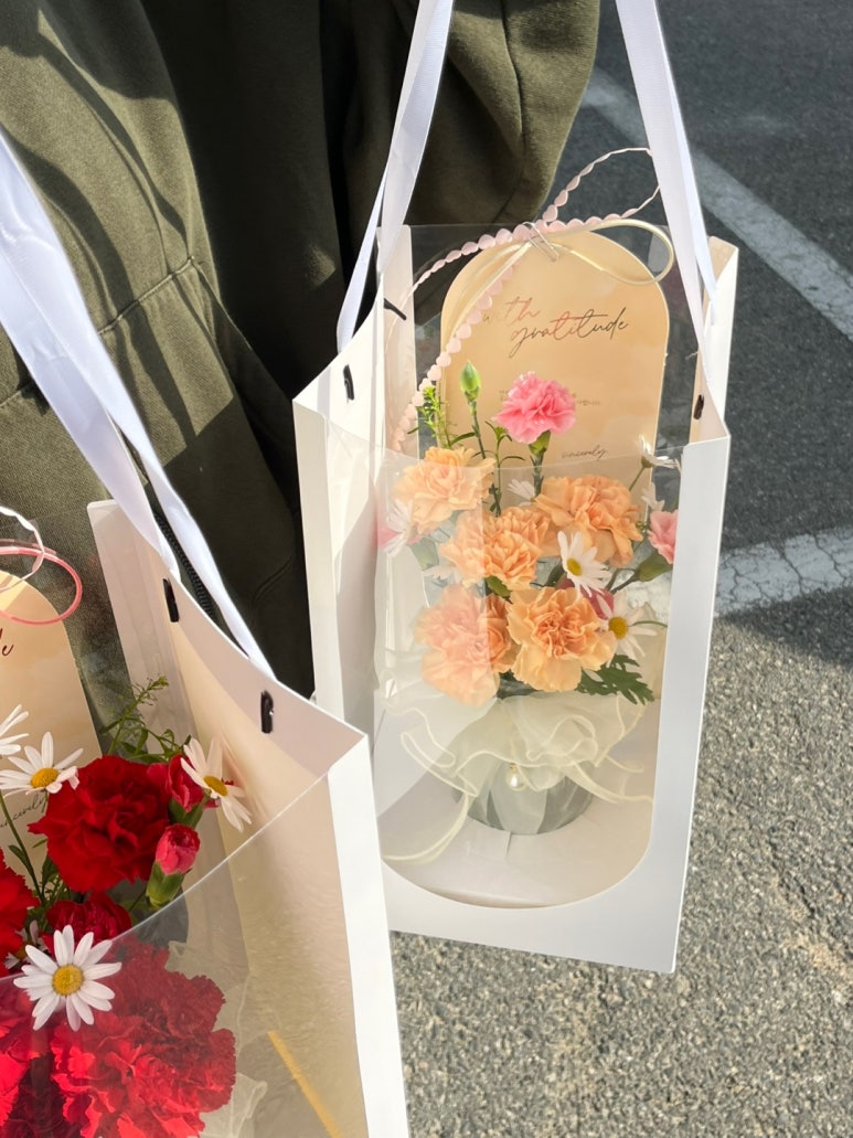 플레르하나 이미지