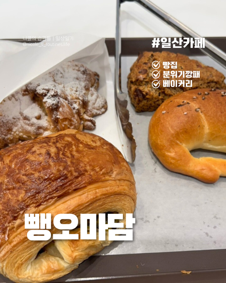 뺑오마담 이미지