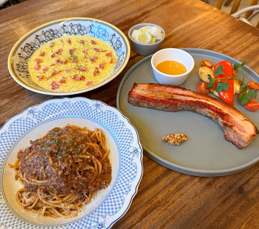 꼬니숑 이미지