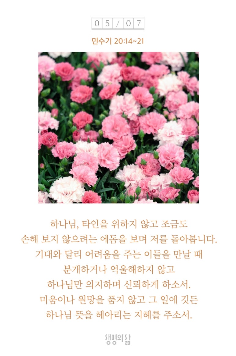 선택21 이미지