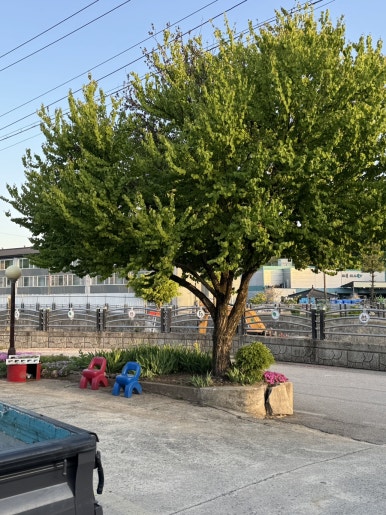 한일맛집 이미지