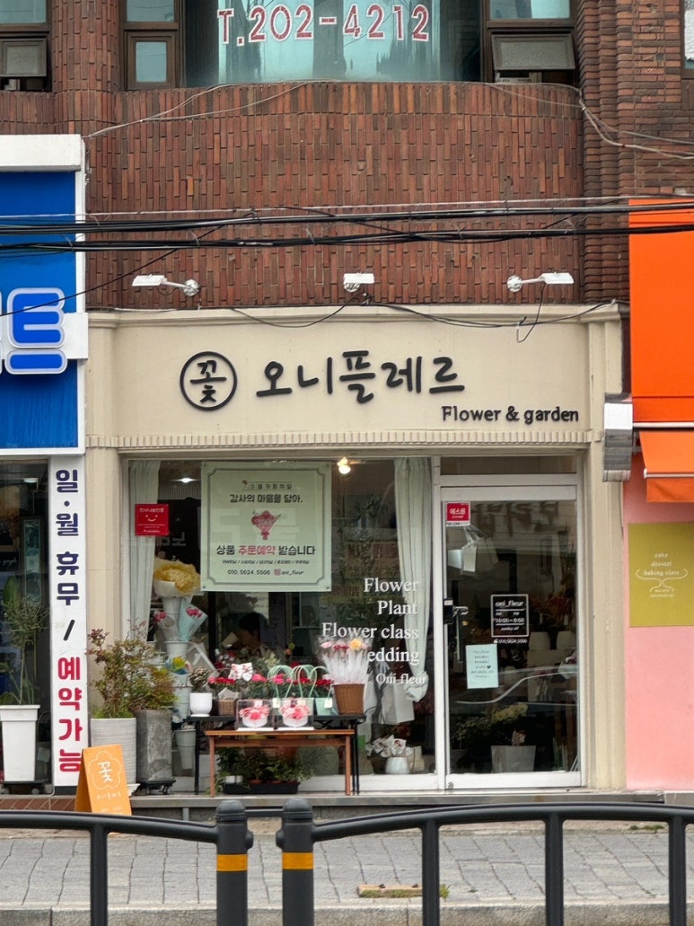 오니플레르 이미지