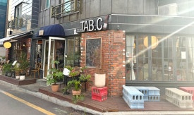 탭씨 이미지