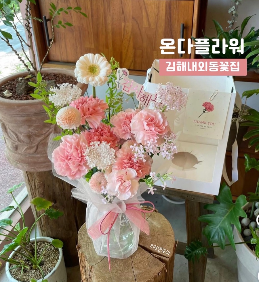 온다플라워 이미지