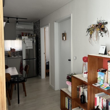 데이지닮다 이미지