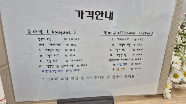 꽃피올라 이미지