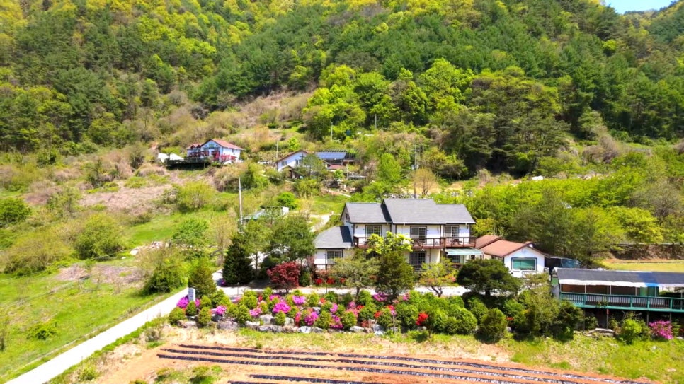 소백산자락펜션 이미지