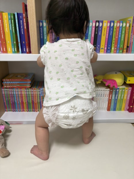 일호밴딩 이미지