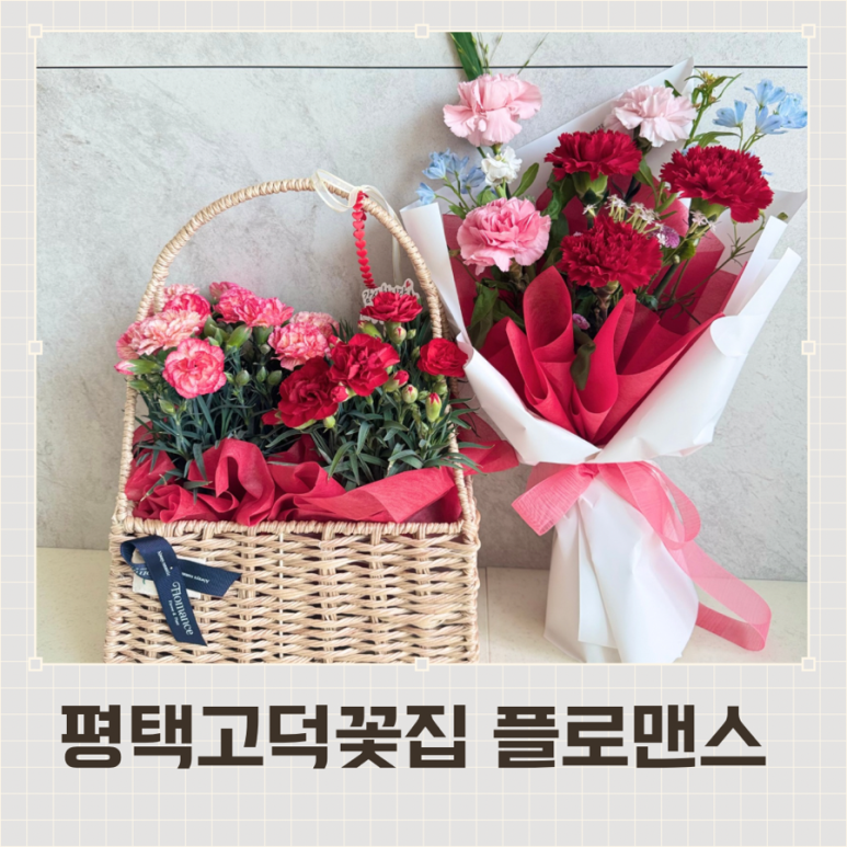 플로맨스 이미지