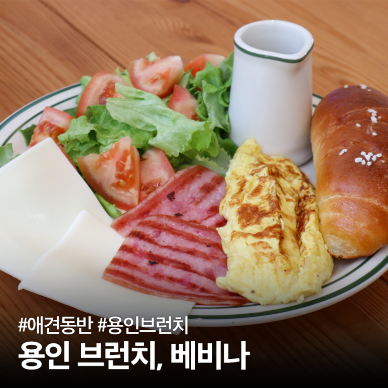 베비나 이미지
