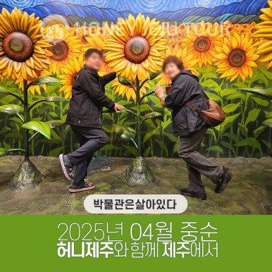 제주다정여행사 이미지