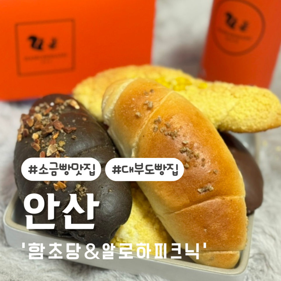 함초당&알로하피크닉 이미지