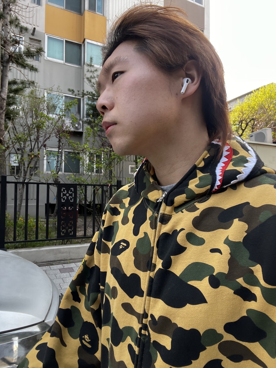 데이민 모먼트 이미지