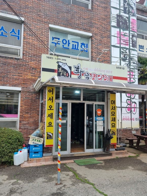 황금코다리무안점 이미지