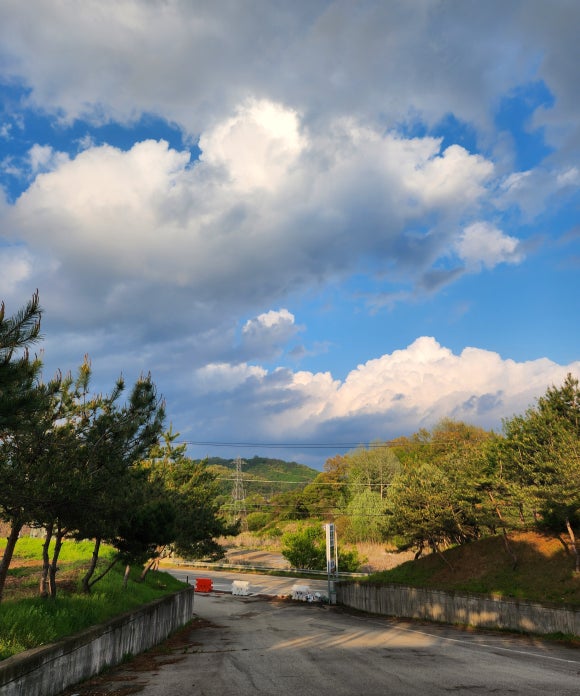삼화리동광캠핑장 이미지