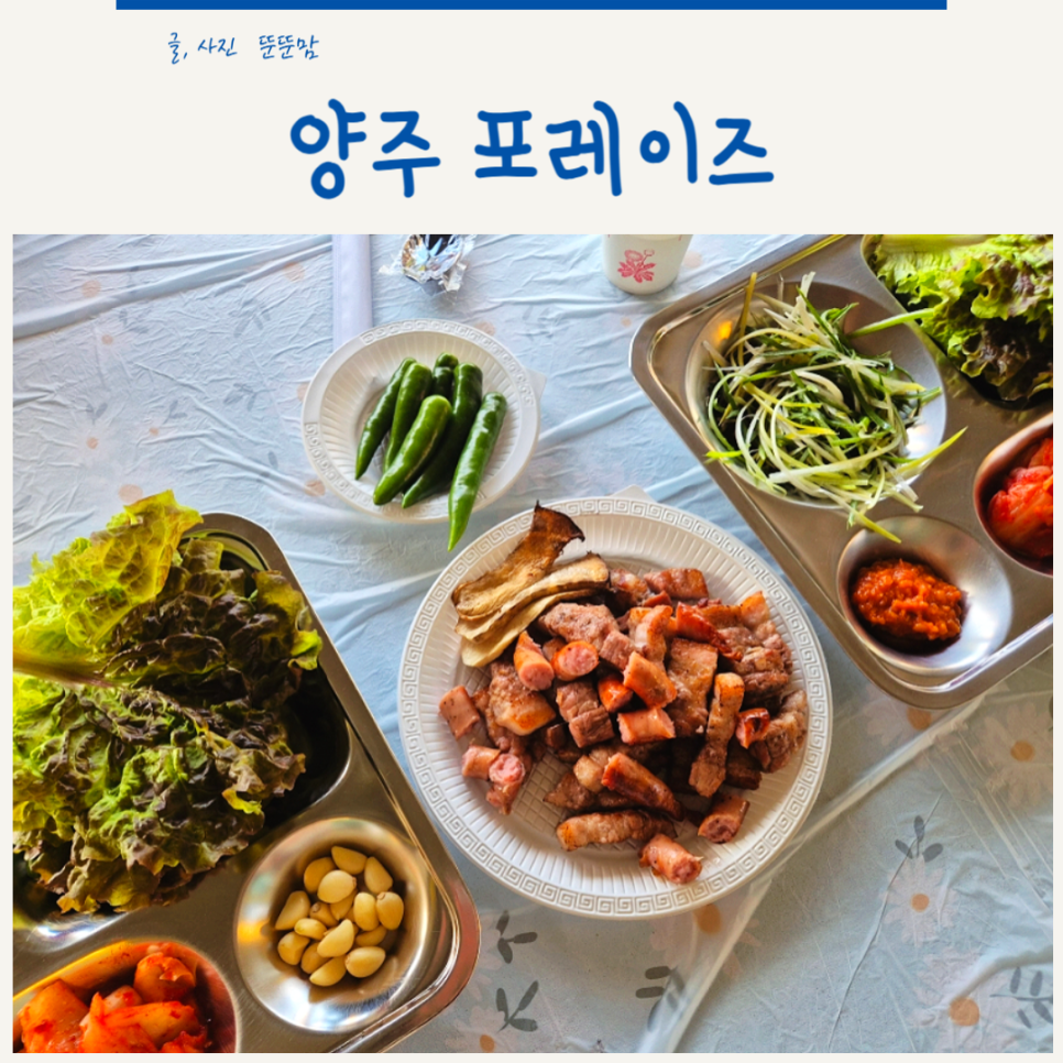 포레이즈 이미지