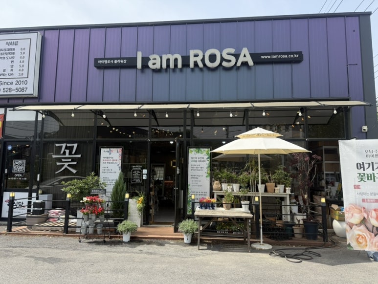 아이엠로사 이미지