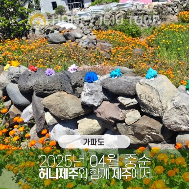 제주다정여행사 이미지