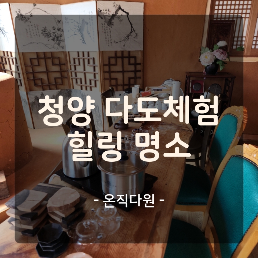 온직다원 이미지