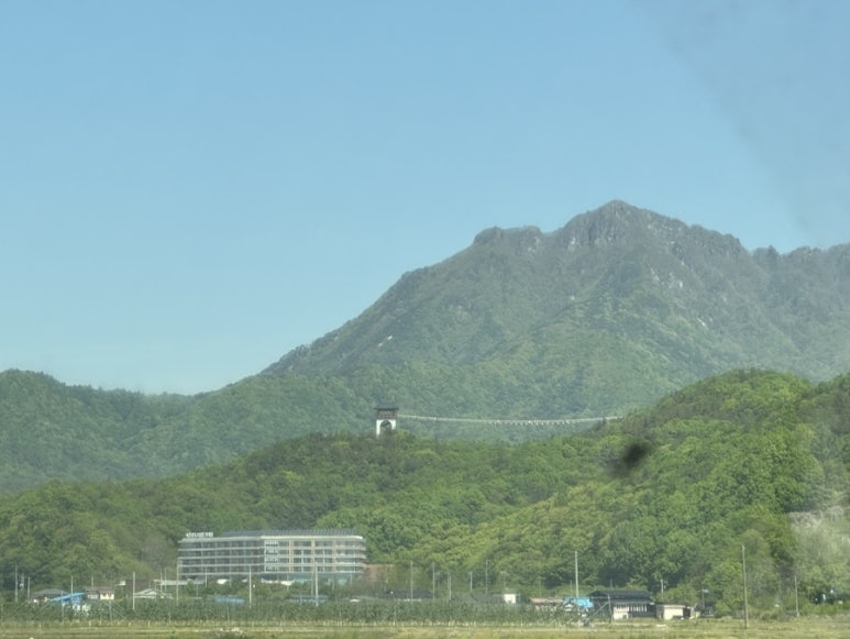 상구네김밥 이미지