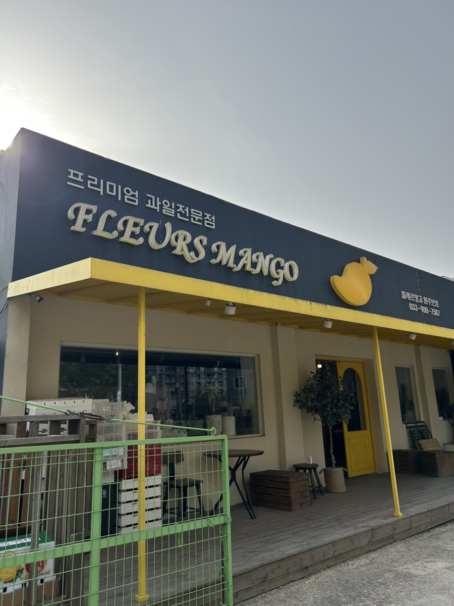 플레르망고 이미지