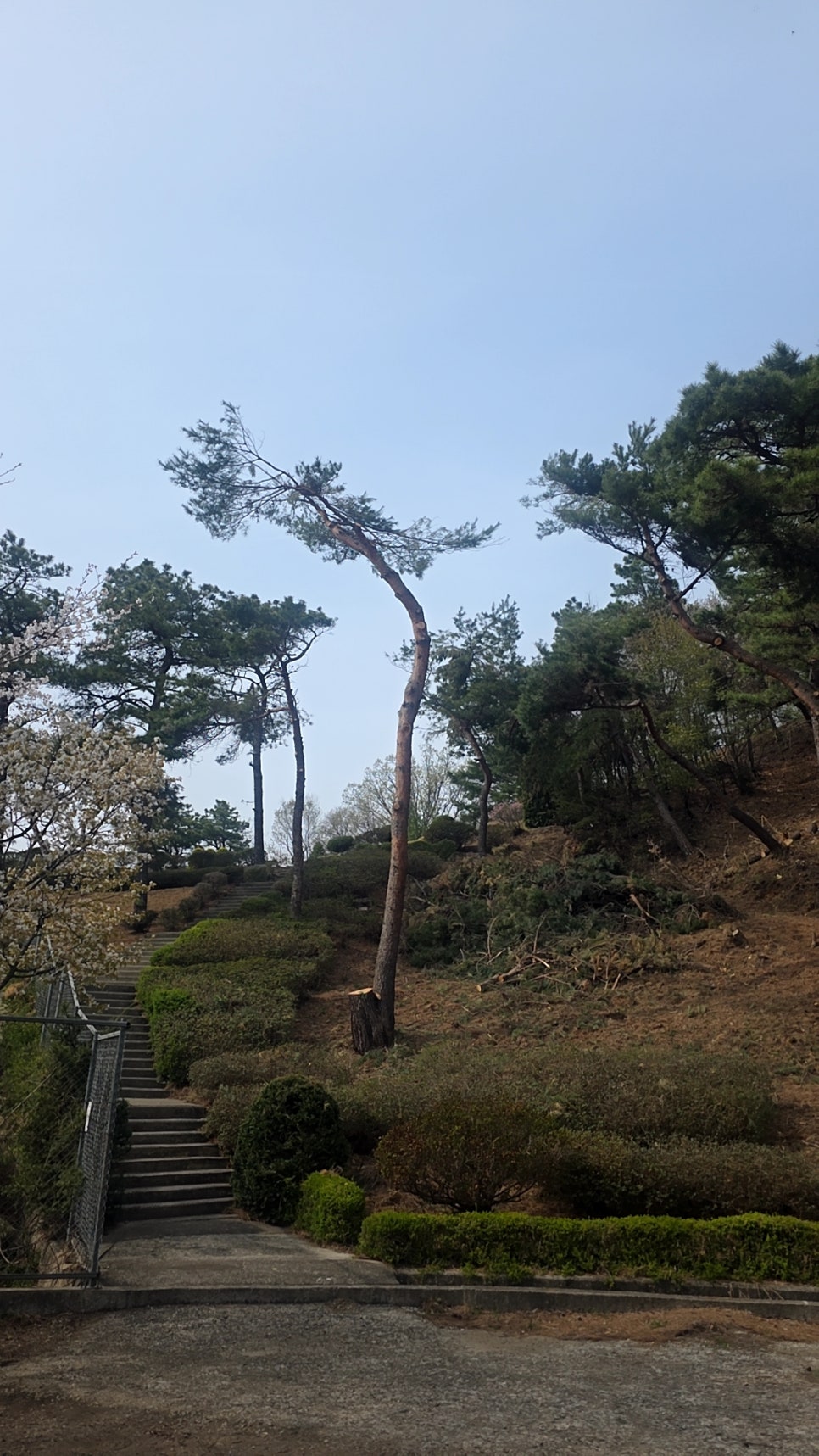 일정청소마당 이미지