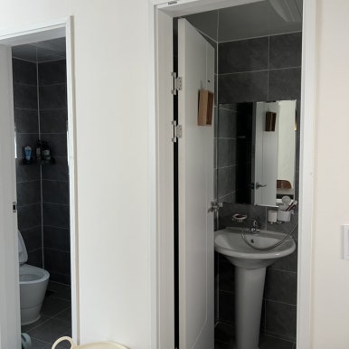 데이지닮다 이미지