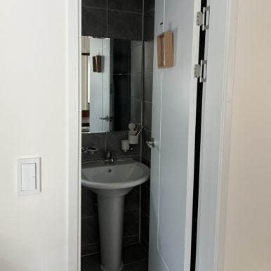 데이지닮다 이미지