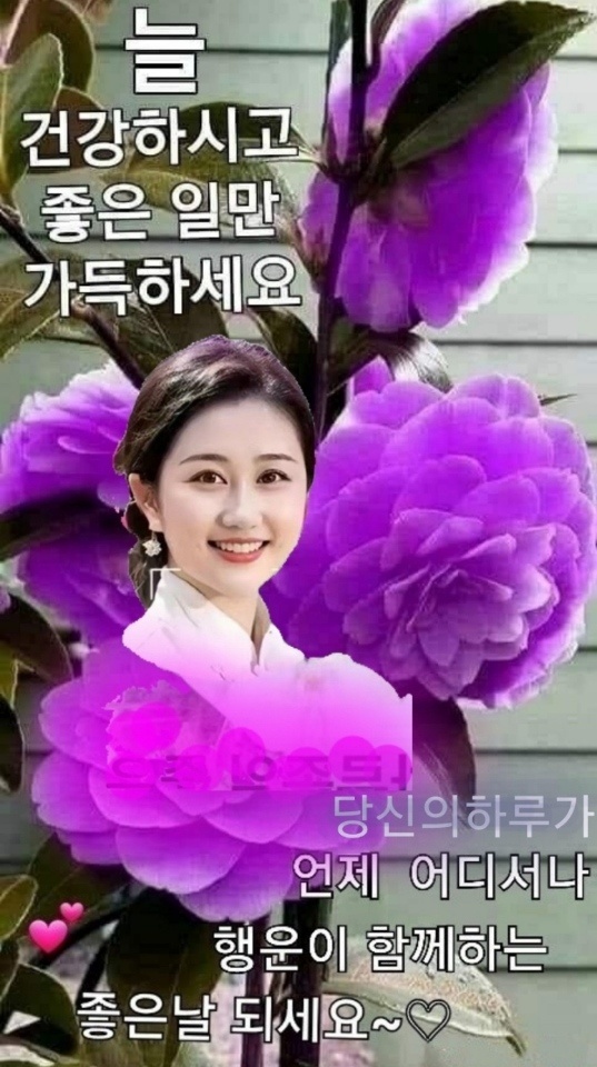 이*천 이미지