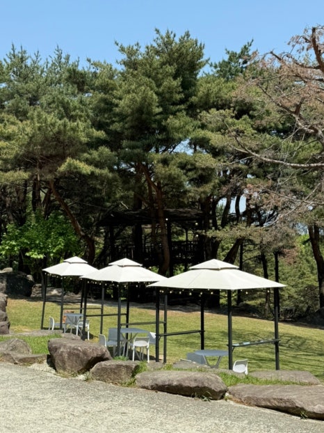 카페백동 이미지