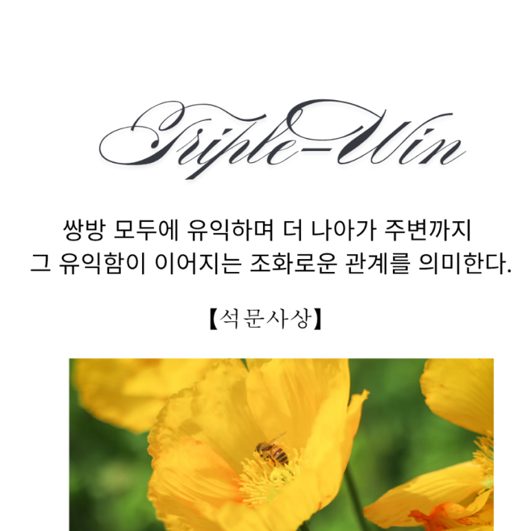 트리플윈 이미지
