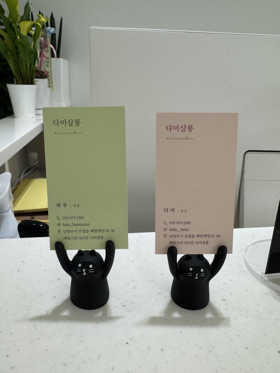다미살롱 이미지