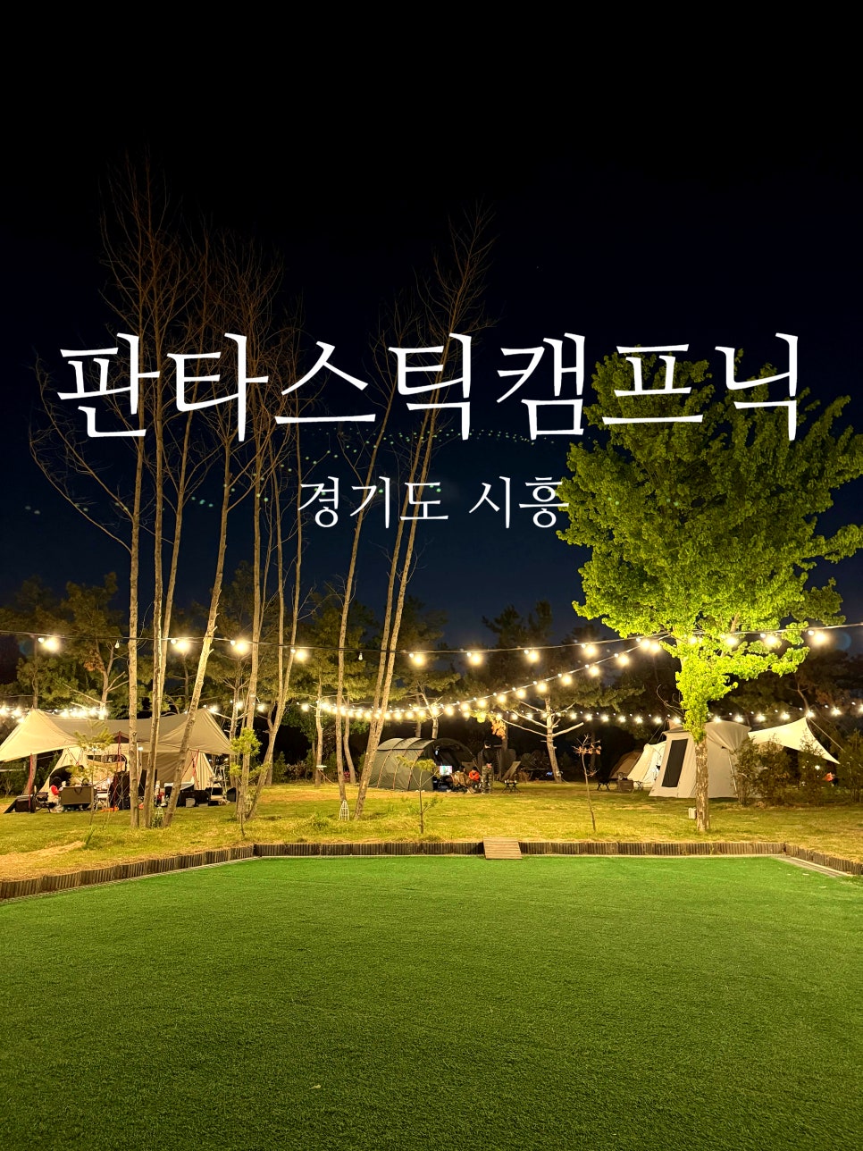 판타스틱 캠프닉 이미지