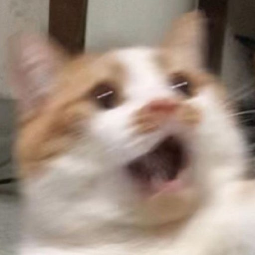 박*제 이미지