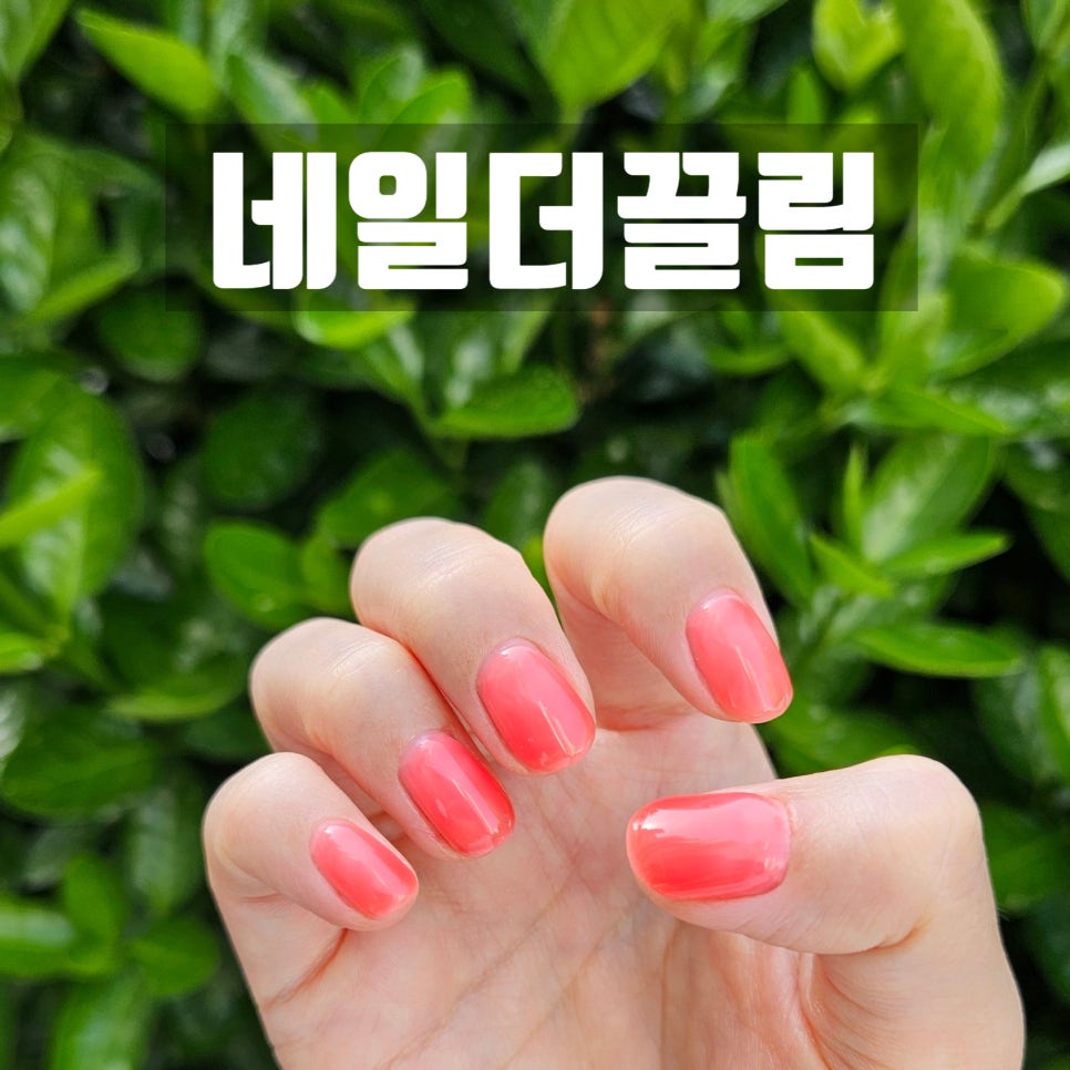 네일더끌림 이미지