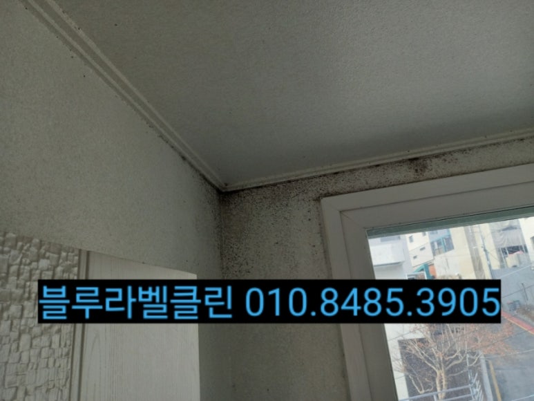 블루라벨클린 이미지