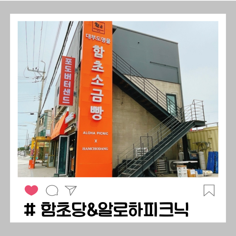 함초당&알로하피크닉 이미지