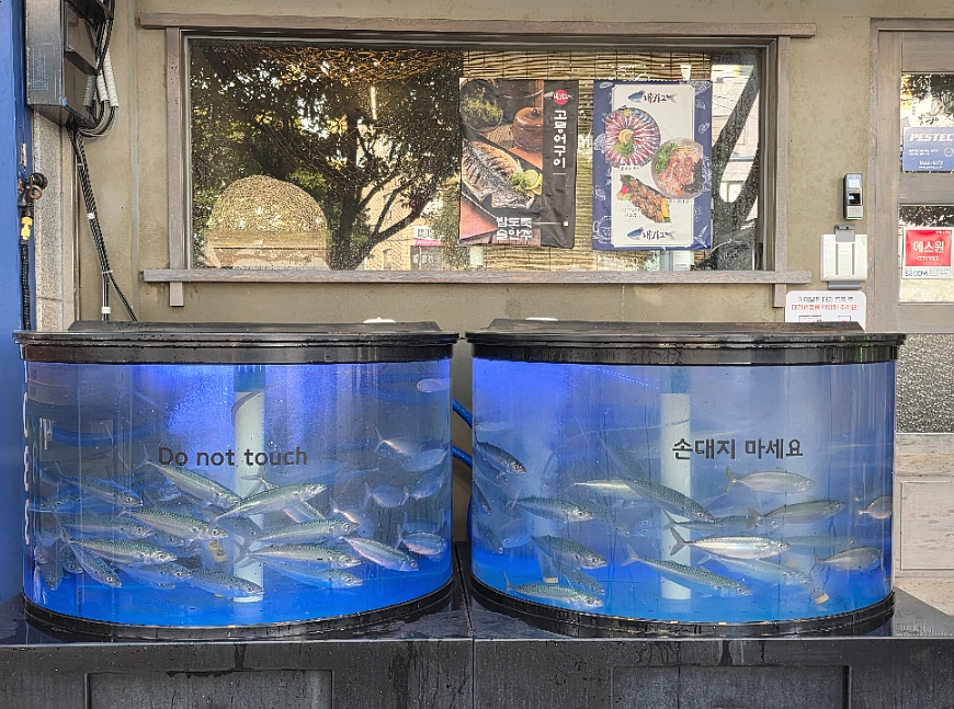 내키고 이미지