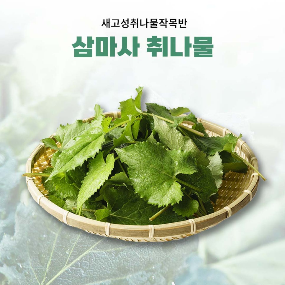 고성식품 이미지