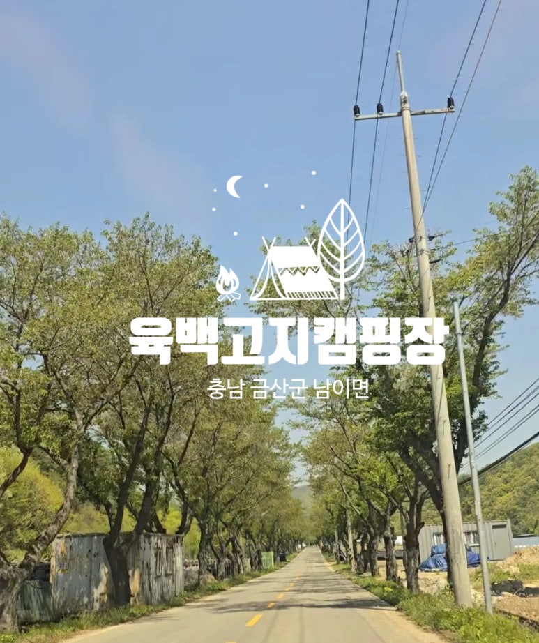 육백고지 캠핑장 이미지
