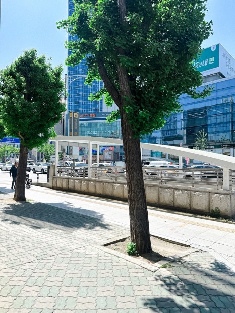 한솔요리커피제과제빵아카데미 이미지