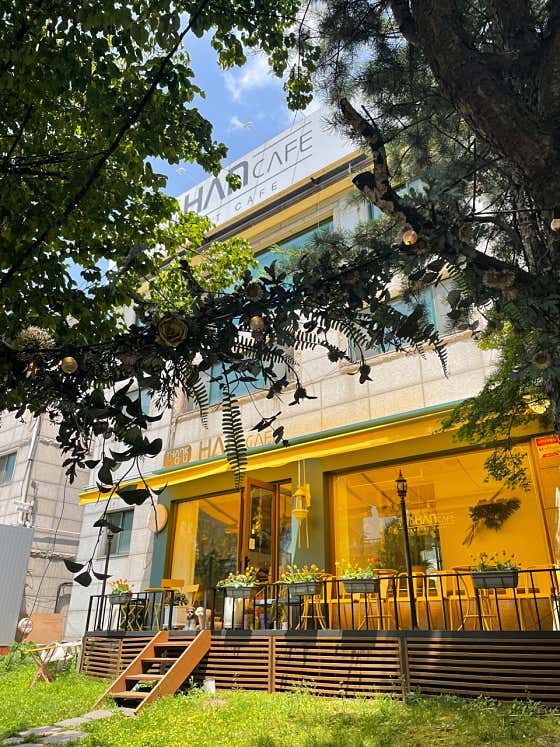카페땡큐 이미지