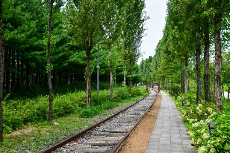 숲길 이미지