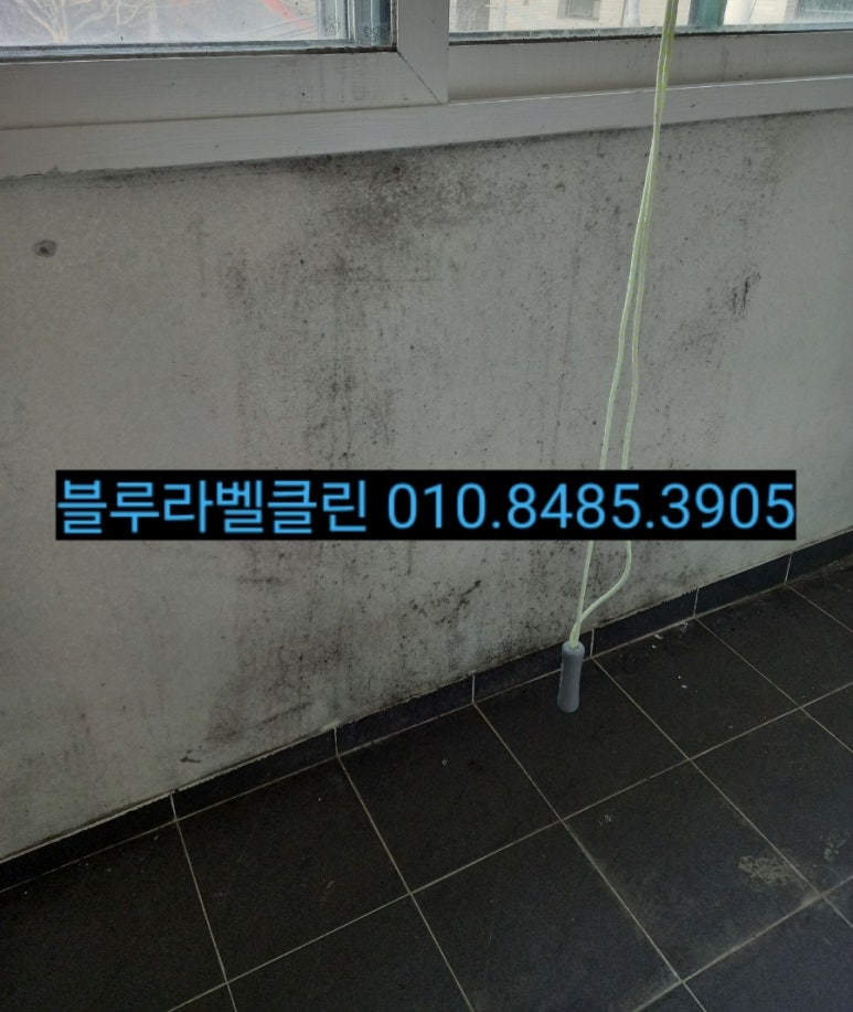 블루라벨클린 이미지