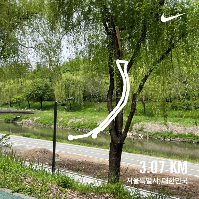 새삶 이미지