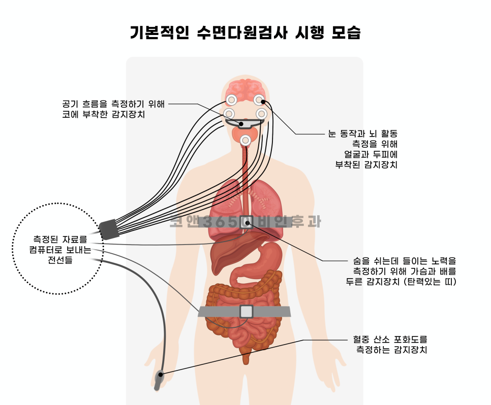 양주종합산소 이미지