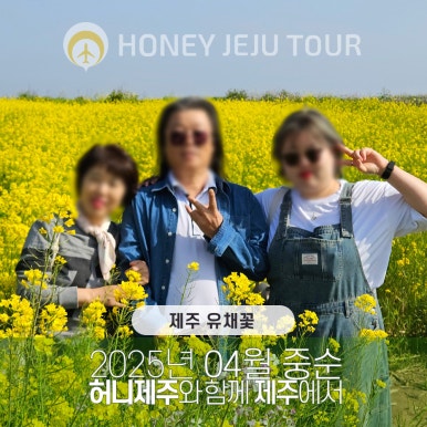 제주다정여행사 이미지