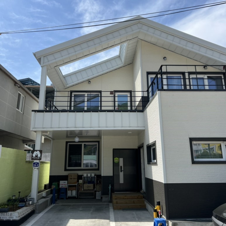 데이지닮다 이미지