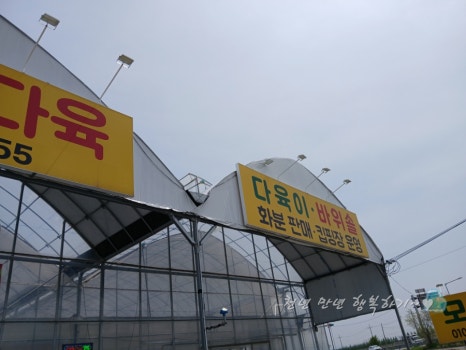 모두랑다육 이미지