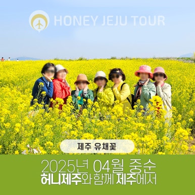 제주다정여행사 이미지